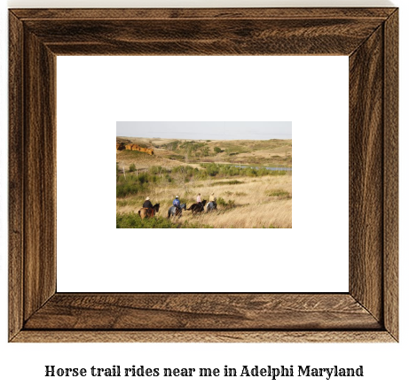 horse trail rides near me in Adelphi, Maryland